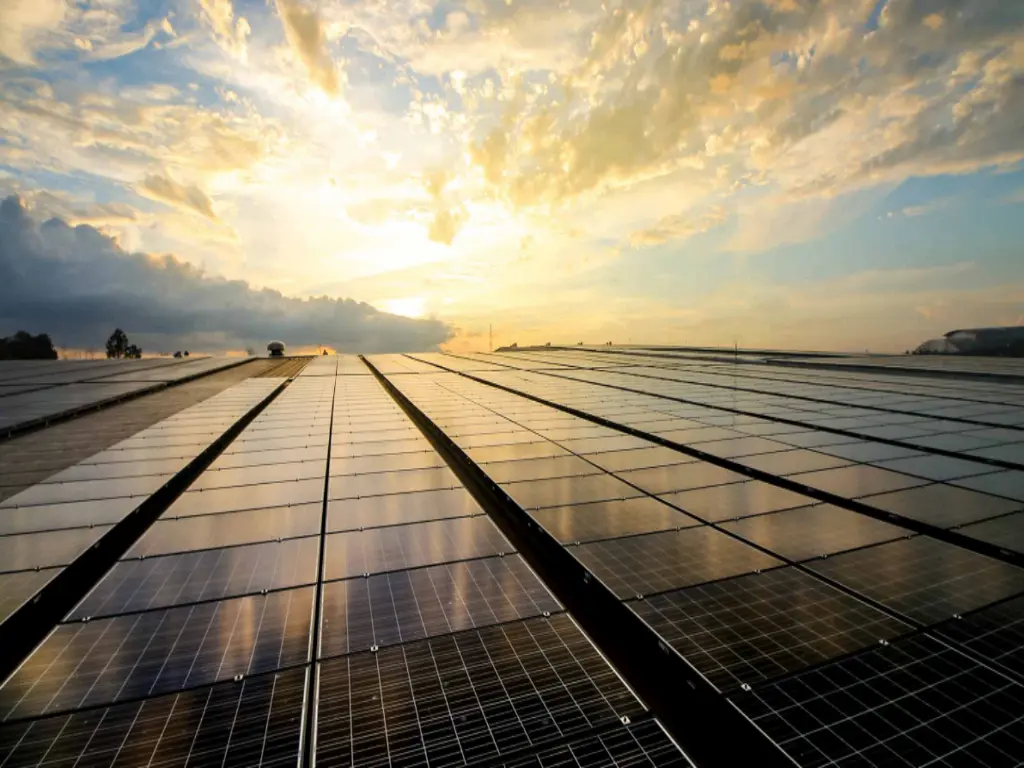 Solar panels at sunset.