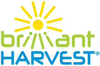 Brilliant Harvest review