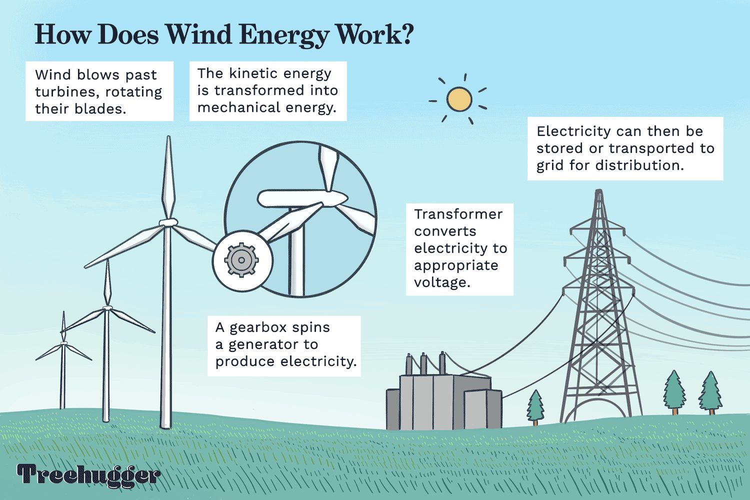 Solar vs Wind Power: Which Renewable Energy Source Is Better