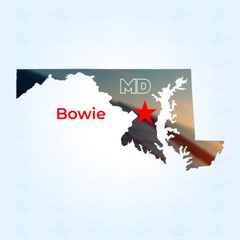 Top Solar Companies in Bowie