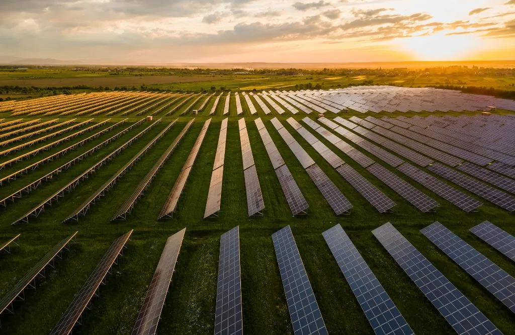 An aerial view of the solar plants placed in the field