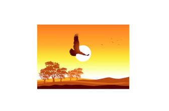 Freedom Solar USA review