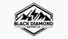 Black Diamond Electric review