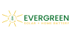 Evergreen Solar and Home Battery review