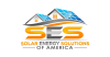 Solar Energy Solutions of America Inc. review