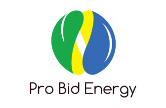 Pro Bid Energy review