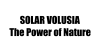 Solar Volusia review