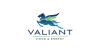 Valiant Home & Energy review