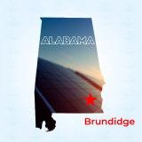 Top Solar Companies in Brundidge, Alabama