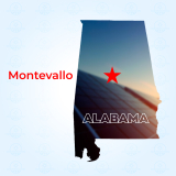 Top Solar Companies in Montevallo, Alabama