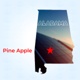 Top Solar Companies in Pine Apple, Alabama