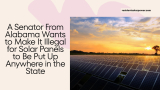 A Senator From Alabama Wants to Make It Illegal for Solar Panels to Be Put Up Anywhere in the State
