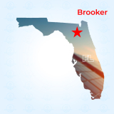 Top Solar Companies in Brooker, Florida