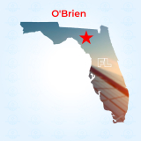 Top Solar Companies in O Brien, Florida