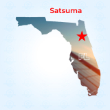 Top Solar Companies in Satsuma, Florida