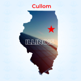 Top Solar Companies in Cullom, Illinois