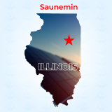 Top Solar Companies in Saunemin, Illinois