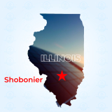Top Solar Companies in Shobonier, Illinois
