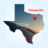 Top Solar Companies in Mesquite, Texas